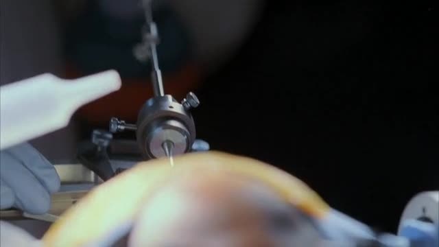 Эйфория. Часть 1