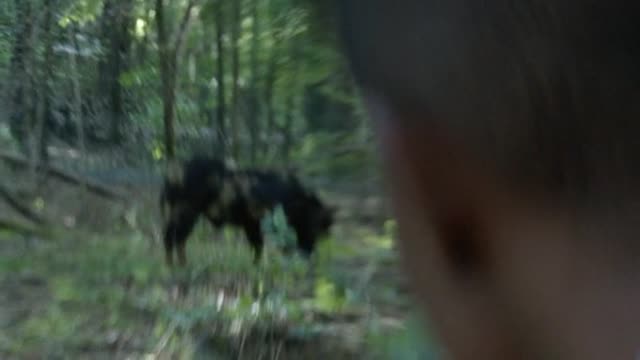 Что и всегда