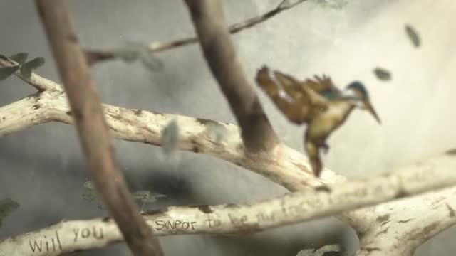 Во благо мира