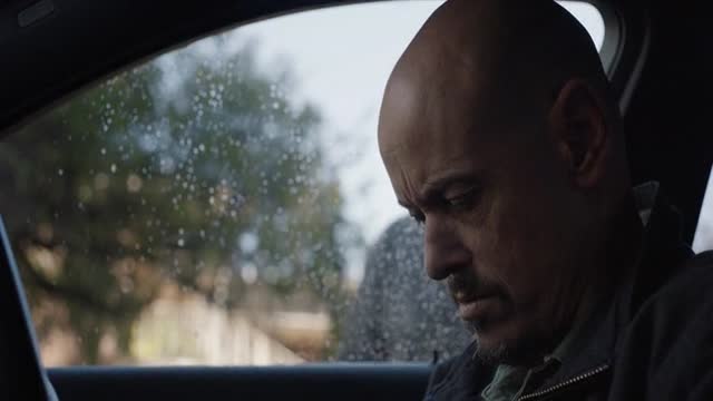 Смотри, змеи