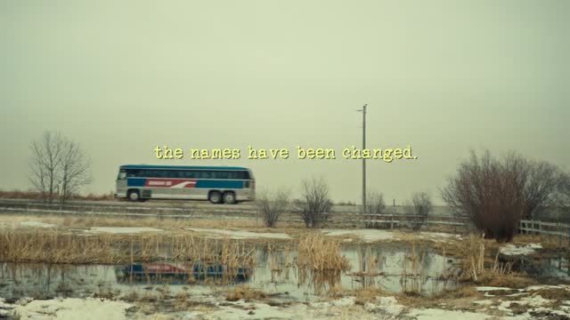 Цена крови