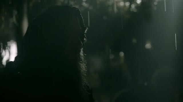 Родственные души