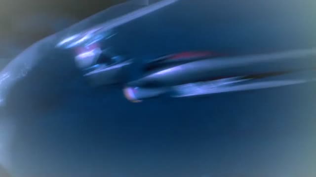 Дерево жизни