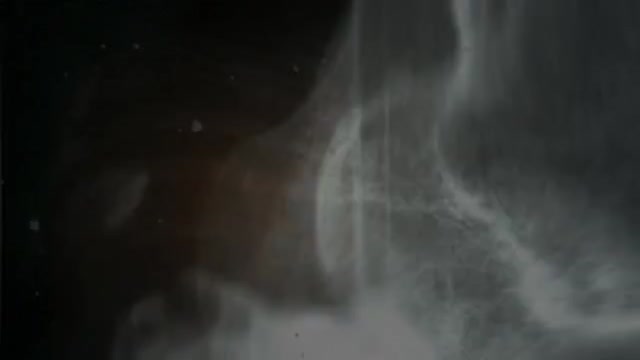 Общественный договор