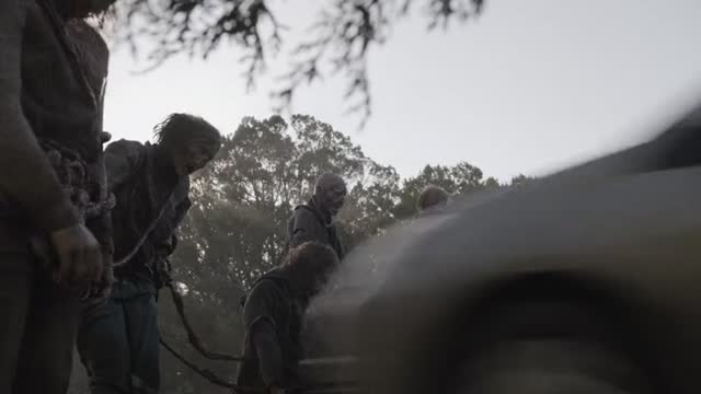 Господин Солнечный свет