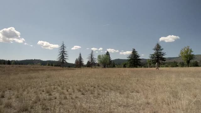 Ангелы Дока