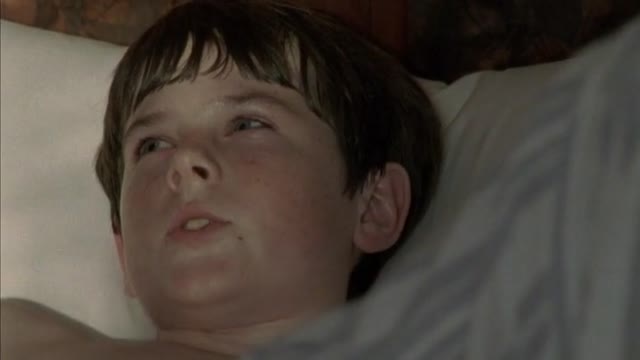 Роза чероки