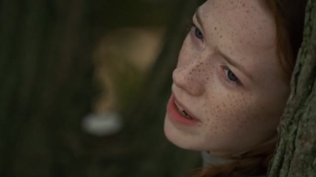 Сезон 2 сезон