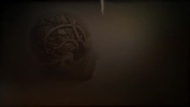 Сын коматозника