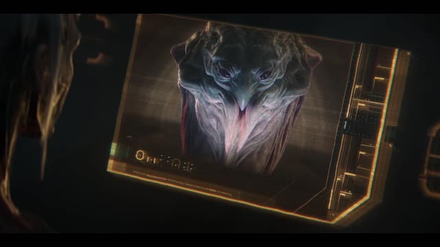 Паучья роза