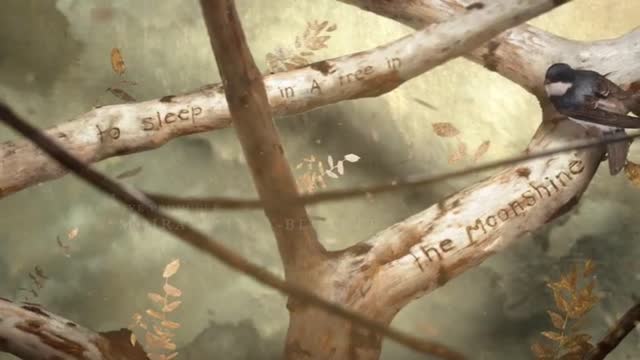 Внутреннее сокровище