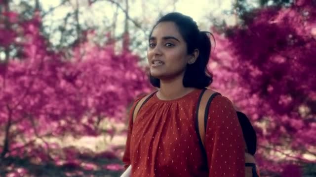 Незваные гости