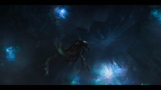 Стая