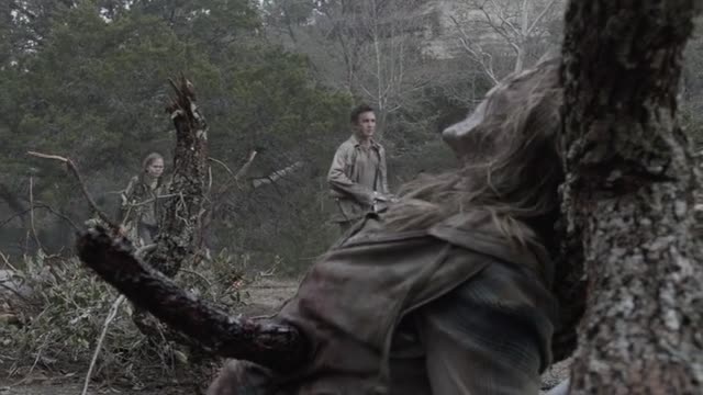 Сезон 5 сезон