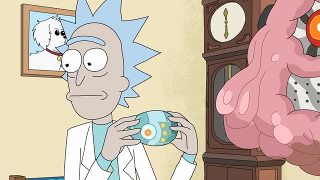 Свадебные Сквончеры