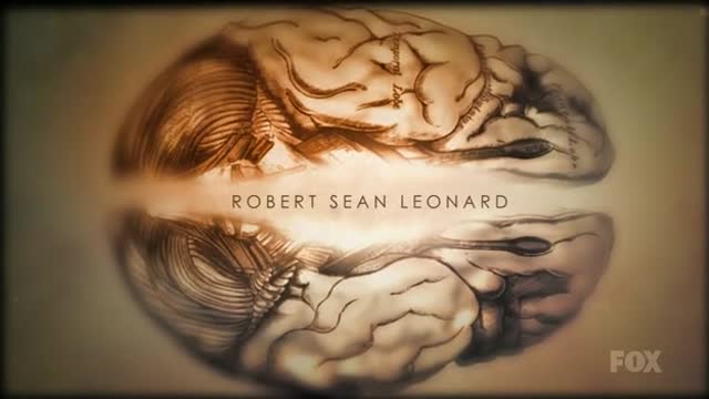 Две истории