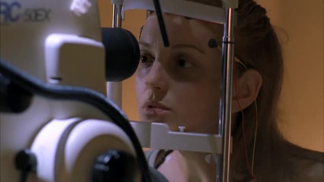 Не будите спящую собаку