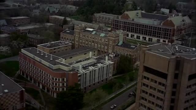 Законы мафии