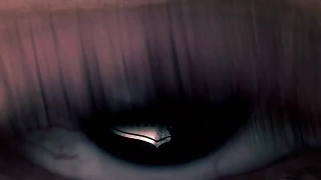 Коллекционер