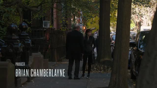 Дракон и волк