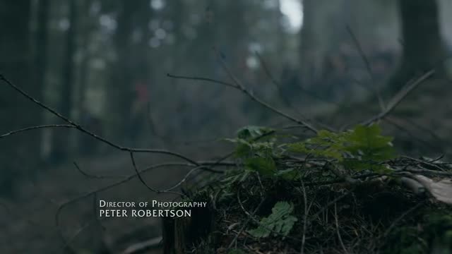 Месть братьев