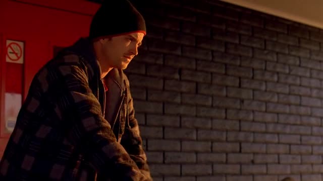 Проблема собак