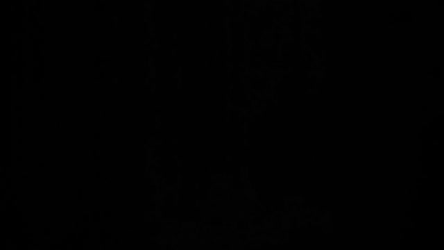 Финальный отбор