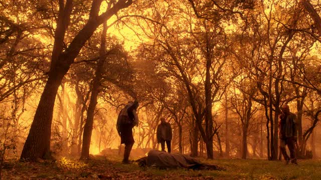 Дорога вперёд